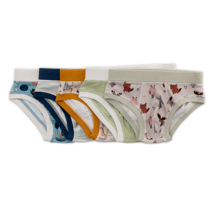 Organic Cotton Boys' Briefs Multi-pack | 5 colors