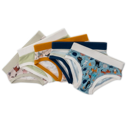 Organic Cotton Boys' Briefs Multi-pack | 5 colors