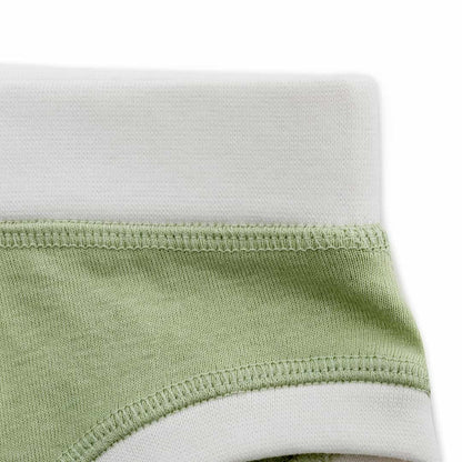 Organic Cotton Boys' Briefs Multi-pack | 5 colors