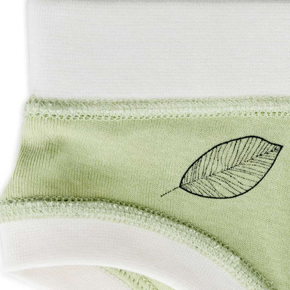 Organic Cotton Boys' Briefs Multi-pack | 5 colors