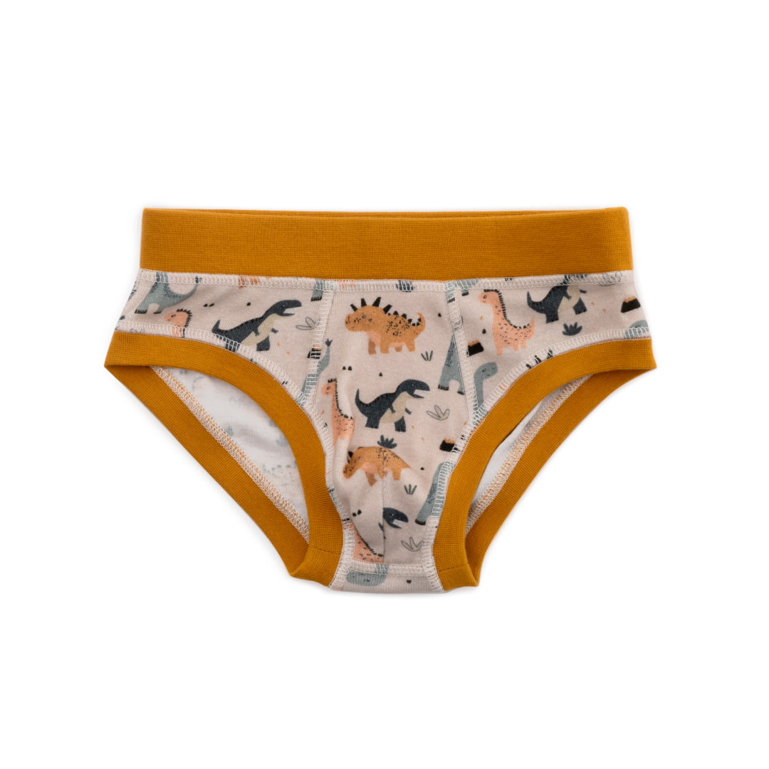 Organic Cotton Boys' Briefs Multi-pack | 5 colors