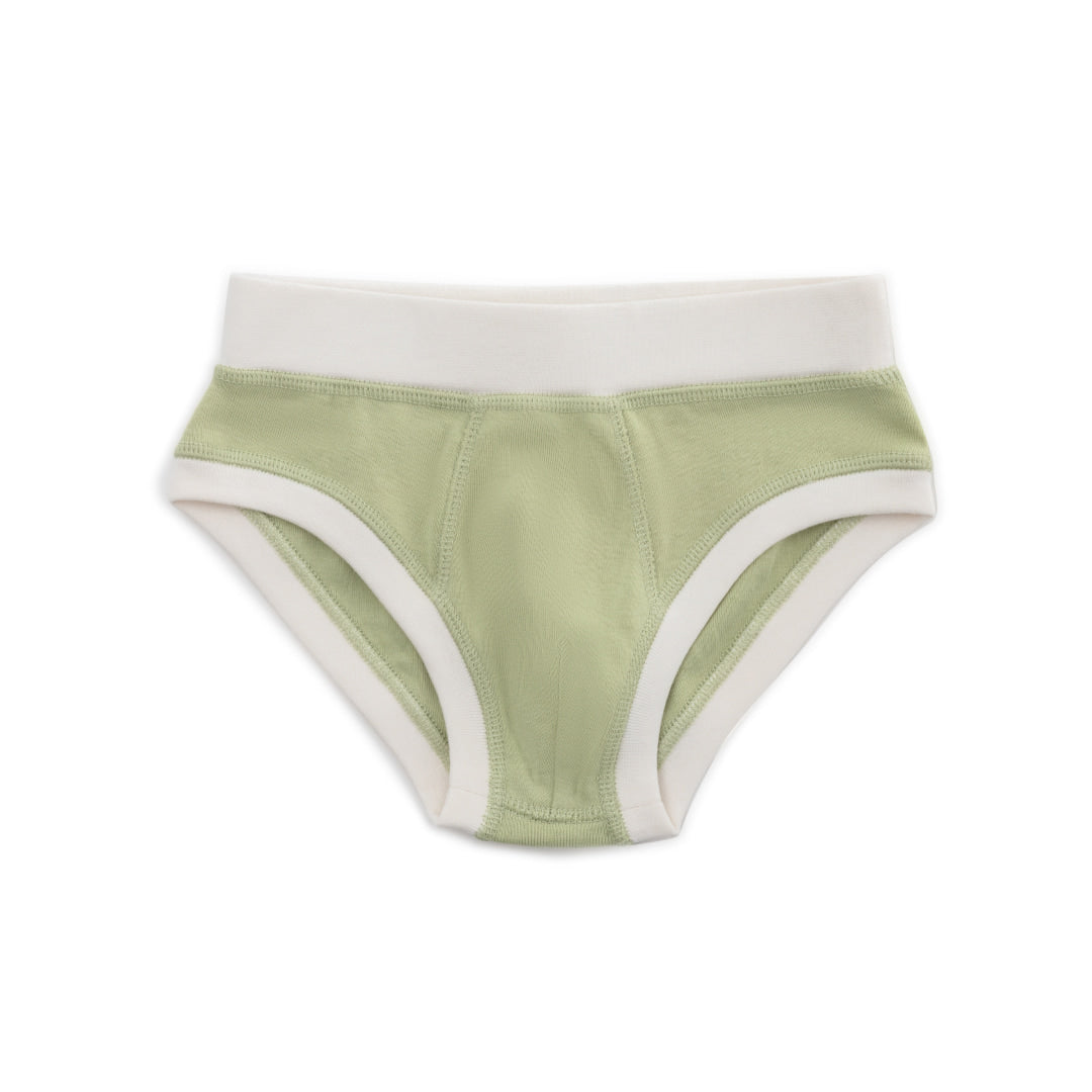 Organic Cotton Boys' Briefs Multi-pack | 5 colors