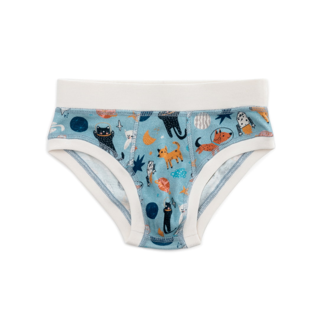 Organic Cotton Boys' Briefs Multi-pack | 5 colors