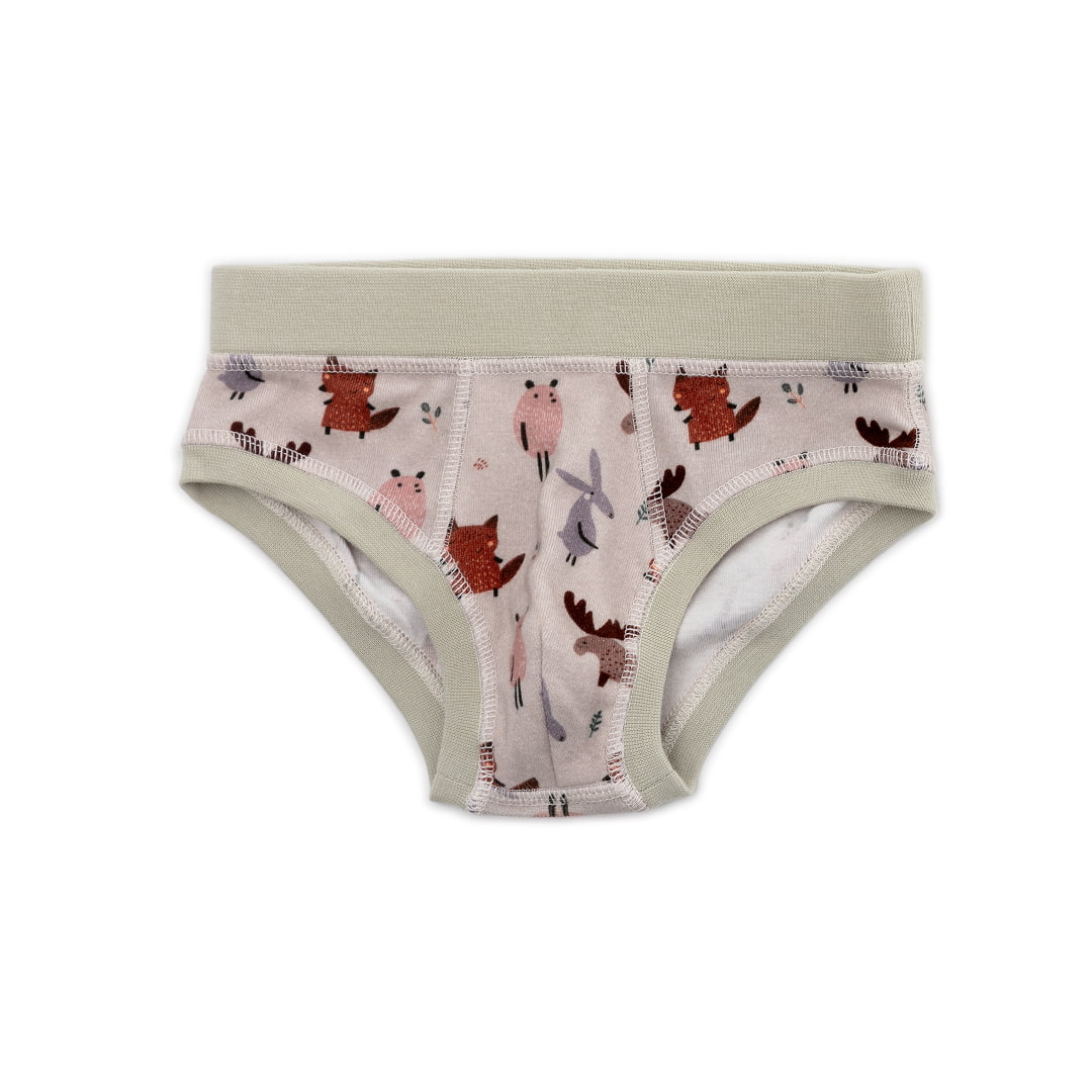 Organic Cotton Boys' Briefs Multi-pack | 5 colors