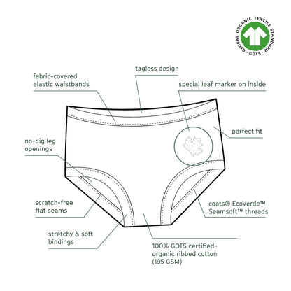 Organic Cotton Boy Boxer Briefs | Multi-pack | 5 colors | Berry & Mustard Hues