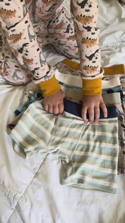 Organic Cotton Boys' Boxer Briefs Multi-pack | 5 colors