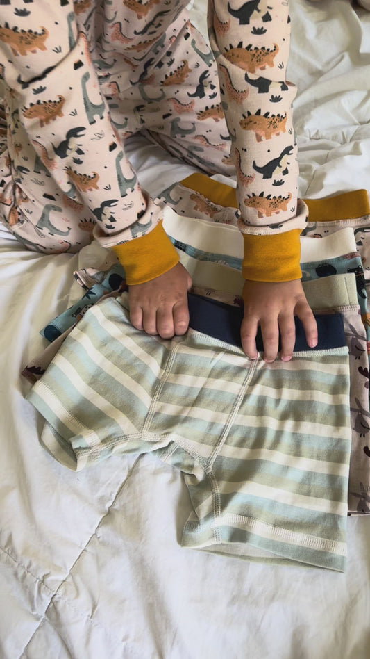 Organic Cotton Boys' Boxer Briefs Multi-pack | 5 colors